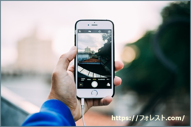 Pitapaマイスタイルは阪急で使えない 似たようなサービスはある Pitapa倶楽部 マイスタイルまとめ